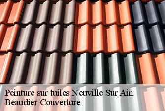 Peinture sur tuiles  neuville-sur-ain-01160 Beaudier Couverture 