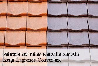 Peinture sur tuiles  neuville-sur-ain-01160 Kenji Lagrenee Couverture