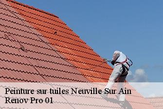 Peinture sur tuiles  neuville-sur-ain-01160 Renov Pro 01