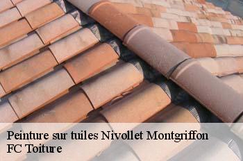 Peinture sur tuiles  nivollet-montgriffon-01230 FC Toiture