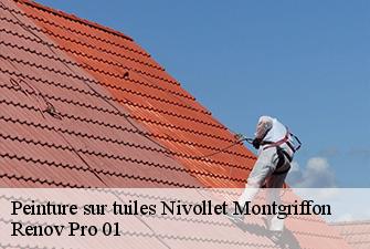 Peinture sur tuiles  nivollet-montgriffon-01230 Renov Pro 01