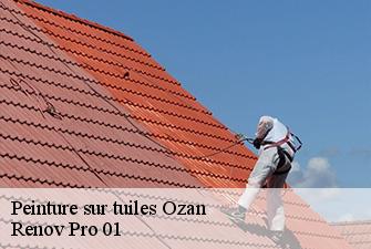 Peinture sur tuiles  ozan-01190 Renov Pro 01