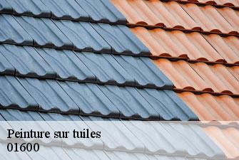 Peinture sur tuiles  parcieux-01600 Kenji Lagrenee Couverture
