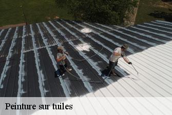 Peinture sur tuiles  parcieux-01600 Kenji Lagrenee Couverture