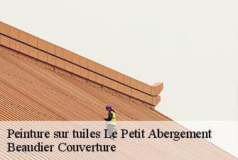 Peinture sur tuiles  le-petit-abergement-01260 Beaudier Couverture 