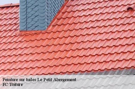 Peinture sur tuiles  le-petit-abergement-01260 FC Toiture