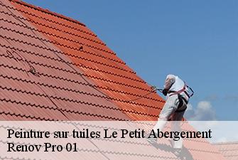 Peinture sur tuiles  le-petit-abergement-01260 Renov Pro 01