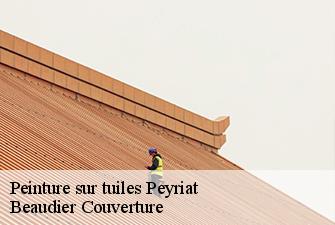 Peinture sur tuiles  peyriat-01430 Beaudier Couverture 