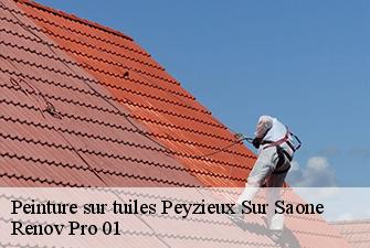 Peinture sur tuiles  peyzieux-sur-saone-01140 Renov Pro 01