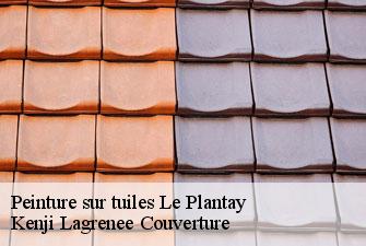 Peinture sur tuiles le-plantay-01330 Kenji Lagrenee Couverture