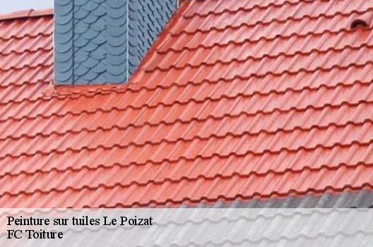 Peinture sur tuiles  le-poizat-01130 FC Toiture