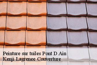 Peinture sur tuiles pont-d-ain-01160 Kenji Lagrenee Couverture