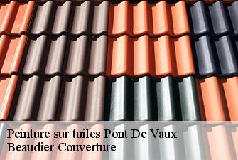 Peinture sur tuiles  pont-de-vaux-01190 Beaudier Couverture 