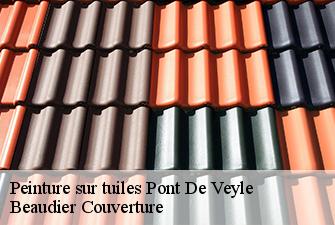 Peinture sur tuiles  pont-de-veyle-01290 Beaudier Couverture 