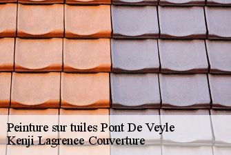 Peinture sur tuiles pont-de-veyle-01290 Kenji Lagrenee Couverture