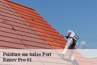 Peinture sur tuiles  port-01460 Renov Pro 01