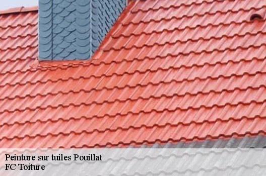 Peinture sur tuiles  pouillat-01250 FC Toiture