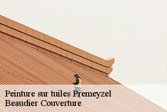 Peinture sur tuiles  premeyzel-01300 Beaudier Couverture 