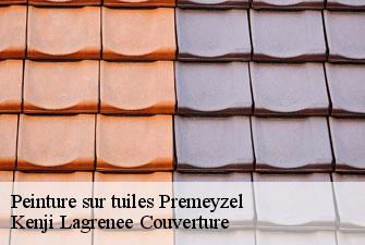 Peinture sur tuiles premeyzel-01300 Kenji Lagrenee Couverture