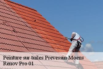 Peinture sur tuiles  prevessin-moens-01280 Renov Pro 01