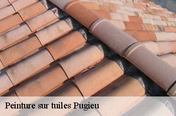 Peinture sur tuiles  pugieu-01510 