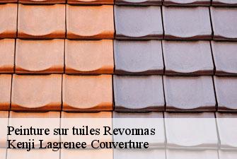 Peinture sur tuiles revonnas-01250 Kenji Lagrenee Couverture