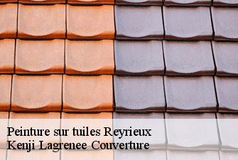 Peinture sur tuiles reyrieux-01600 Kenji Lagrenee Couverture