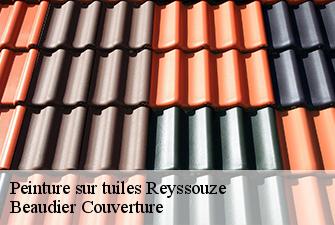 Peinture sur tuiles  reyssouze-01190 Beaudier Couverture 