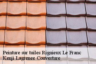 Peinture sur tuiles  rignieux-le-franc-01800 Kenji Lagrenee Couverture