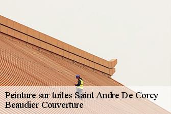 Peinture sur tuiles  saint-andre-de-corcy-01390 Beaudier Couverture 