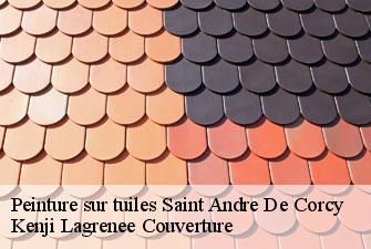 Peinture sur tuiles saint-andre-de-corcy-01390 Kenji Lagrenee Couverture