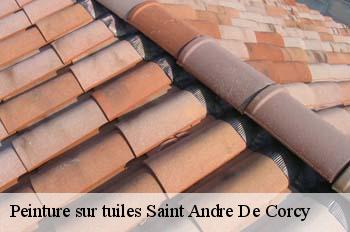 Peinture sur tuiles  saint-andre-de-corcy-01390 