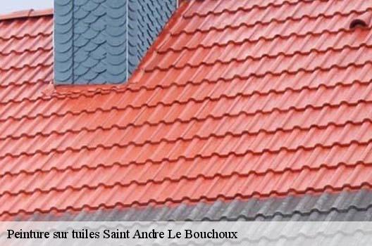 Peinture sur tuiles  saint-andre-le-bouchoux-01240 