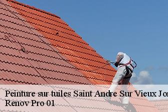 Peinture sur tuiles  saint-andre-sur-vieux-jonc-01240 Renov Pro 01