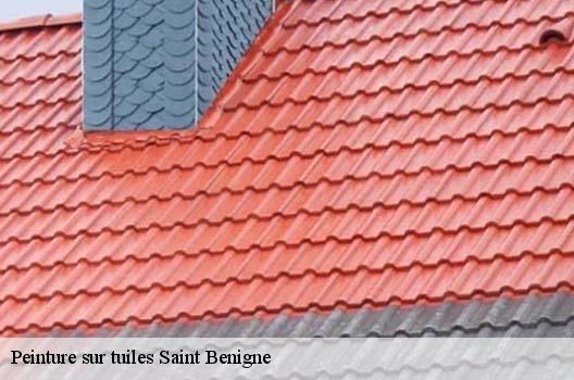 Peinture sur tuiles  saint-benigne-01190 