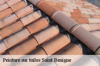 Peinture sur tuiles  saint-benigne-01190 