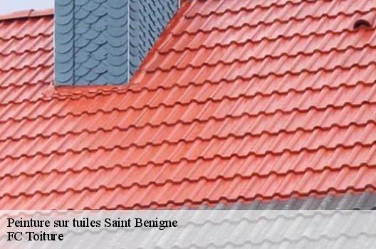 Peinture sur tuiles  saint-benigne-01190 FC Toiture
