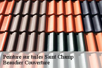 Peinture sur tuiles  saint-champ-01300 Beaudier Couverture 