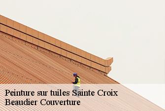Peinture sur tuiles  sainte-croix-01120 Beaudier Couverture 