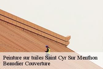 Peinture sur tuiles  saint-cyr-sur-menthon-01380 Beaudier Couverture 