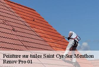 Peinture sur tuiles  saint-cyr-sur-menthon-01380 Renov Pro 01