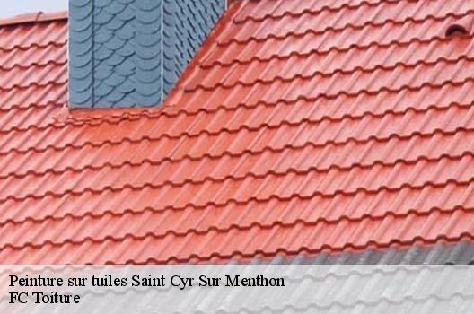 Peinture sur tuiles  saint-cyr-sur-menthon-01380 FC Toiture