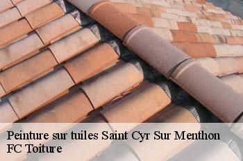 Peinture sur tuiles  saint-cyr-sur-menthon-01380 FC Toiture