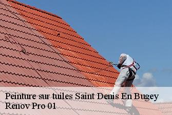 Peinture sur tuiles  saint-denis-en-bugey-01500 Renov Pro 01