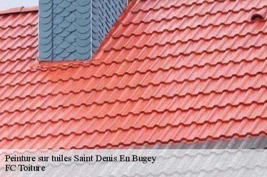 Peinture sur tuiles  saint-denis-en-bugey-01500 