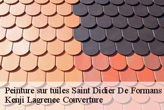 Peinture sur tuiles  saint-didier-de-formans-01600 Kenji Lagrenee Couverture