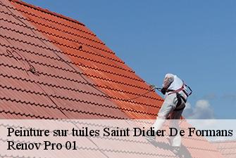 Peinture sur tuiles  saint-didier-de-formans-01600 Renov Pro 01