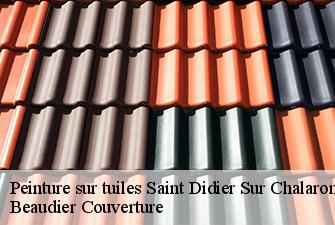 Peinture sur tuiles  saint-didier-sur-chalaronne-01140 Beaudier Couverture 