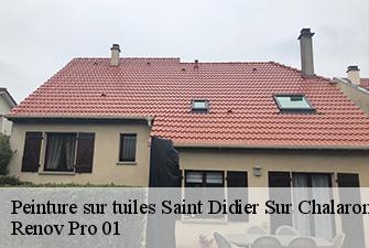 Peinture sur tuiles  saint-didier-sur-chalaronne-01140 Renov Pro 01