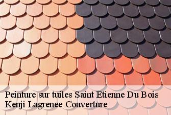 Peinture sur tuiles  saint-etienne-du-bois-01370 Kenji Lagrenee Couverture